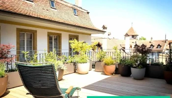 Adler Boutique Hotel & Pub - Murten