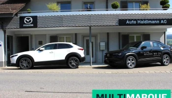 Auto Haldimann Ag - Grosshöchstetten
