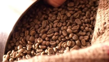 Belém Café Rösterei Ag - Schüpfen