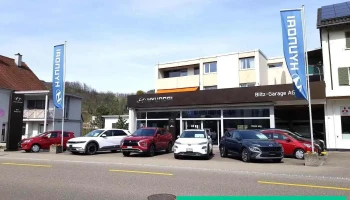 Blitz-Garage Ag - Lausen
