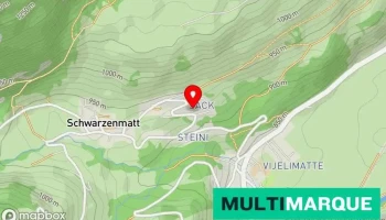 Dänzer Ueli - Boltigen