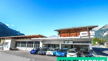 Garage Fuhrer Brienz GmbH - Brienz