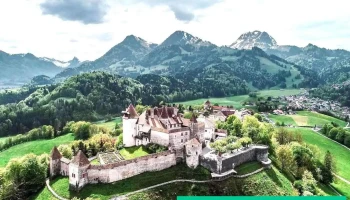 Hôtel des Alpes - Bulle