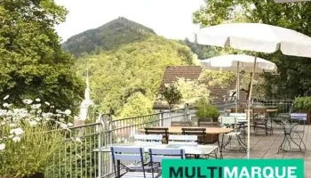 Hotel Erica - Langenbruck