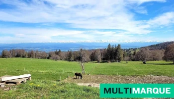 Leubringenberg - Schweiz