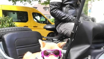 Moto-Addict Sàrl - Moudon