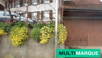 Mujota Motors / Classic Garage Eiken - Eiken