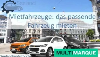Seeland Mobility - Automiete Biel / Bienne - Nidau