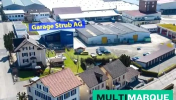 Strub Ag - Läufelfingen