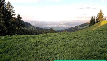 Türliboden oben - Schweiz
