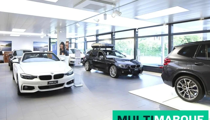 Abt Automobile Ag Liestal Vom Inhaber - Liestal