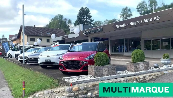 Alcardis -  Haymoz Auto Ag Videos - Wünnewil-flamatt