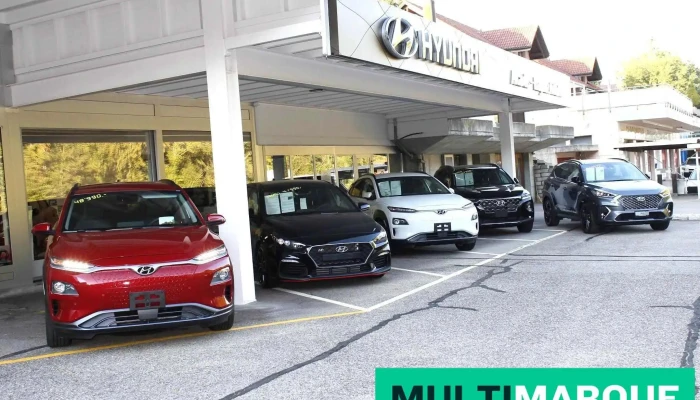 Alcardis -  Haymoz Auto Ag Vom Inhaber - Wünnewil-flamatt