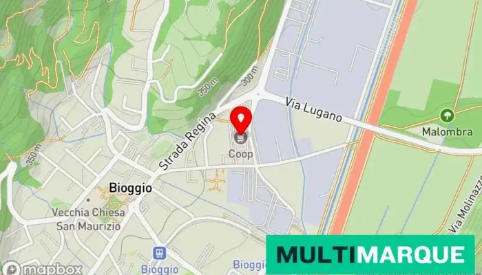 Alloggi Ticino Sa -  Karte - Bioggio