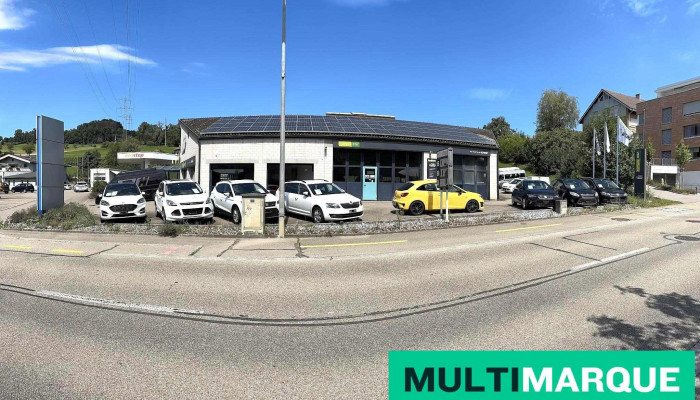 Amgw Ag -    Auto Mobil Garage Alle - Ormalingen