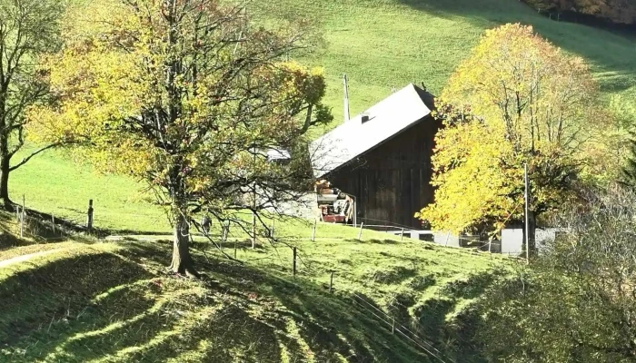 Ankenballen - Langenbruck