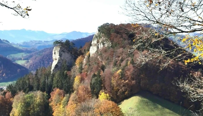 Ankenballen -  Nummer - Langenbruck