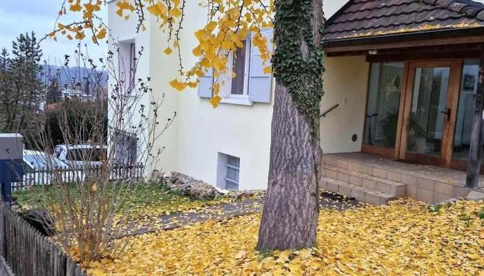 Arlesheim Baselstrasse Alle - Arlesheim