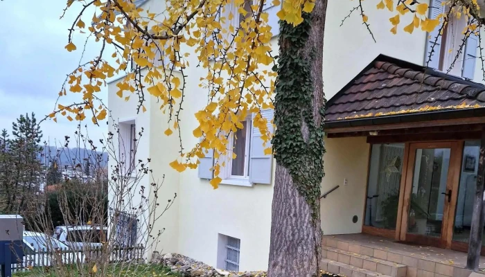 Arlesheim Baselstrasse Strabenbahnhaltestelle - Arlesheim