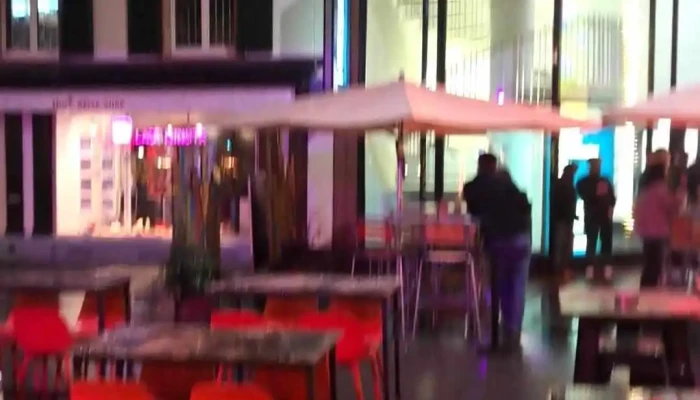 Art House Basel -    Member Of Design Hotels Videos - Basel