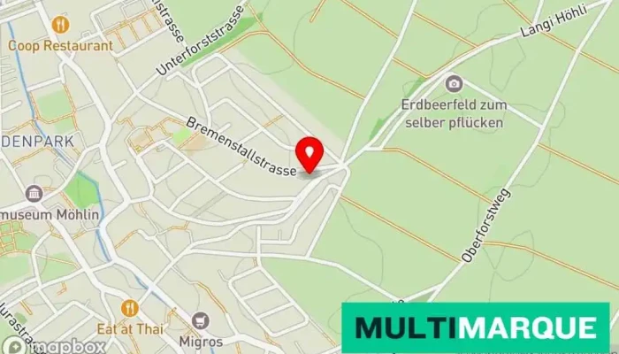 Karte von AUTO & MOTORRAD FAHRSCHULE DANIEL LEUTENEGGER Fahrschule in Möhlin