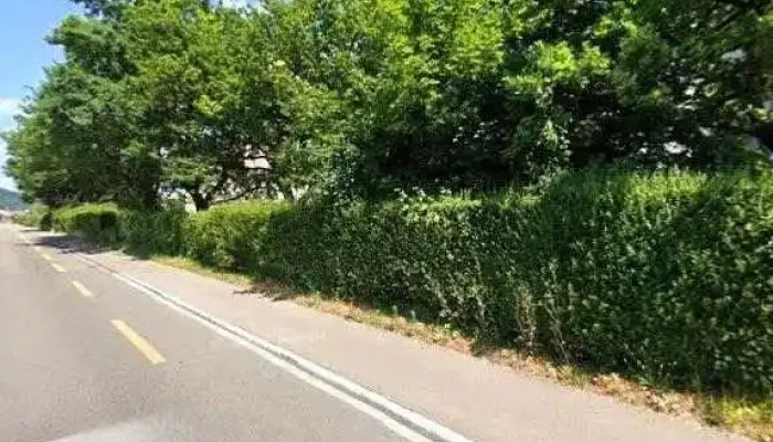Auto Occasion Center -  Street View 360deg Fotos - Killwangen