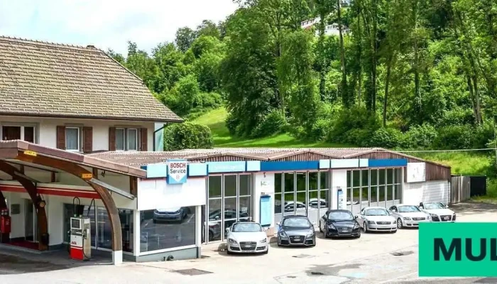 Auto Scheidegger Ag -  Alle - Wünnewil-flamatt