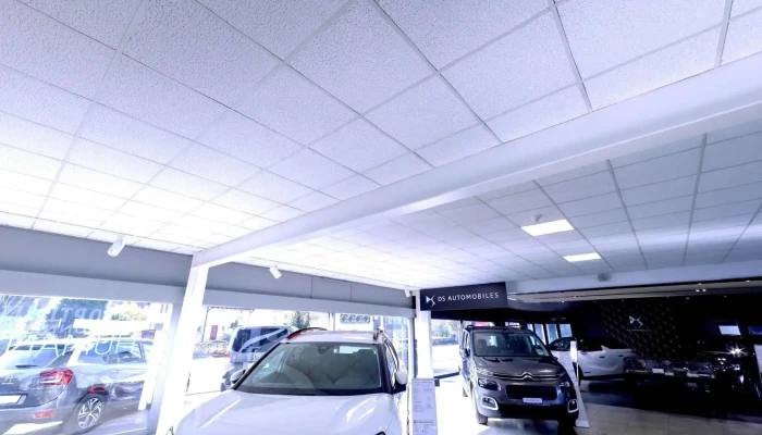 Autohaus Wederich Dona Ag   Citroen Peugeot Garage Autohaus - Muttenz