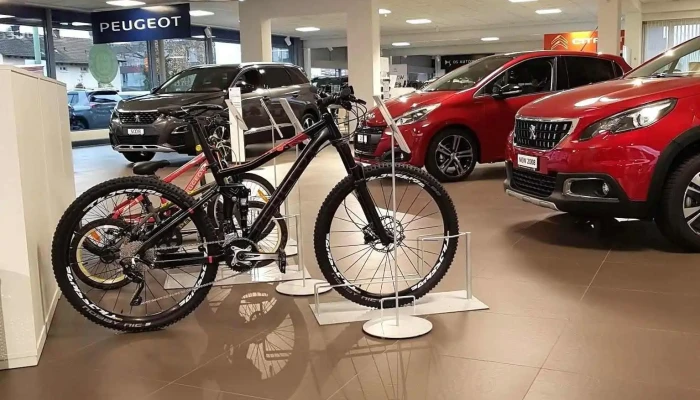 Autohaus Wederich Dona Ag   Citroen Peugeot Garage Innenansichten - Muttenz