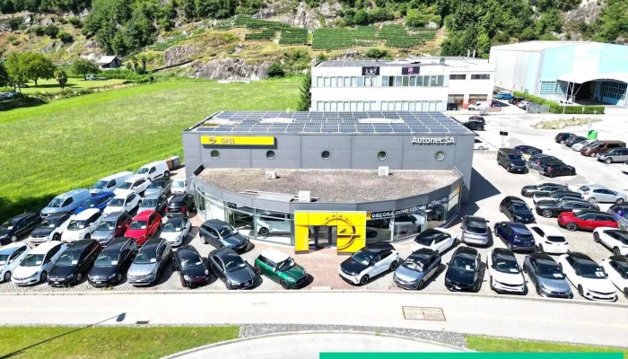Autonec Sa -  Alle - Lavertezzo