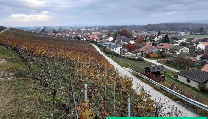 Bas -  Vully Alle - Mont-vully