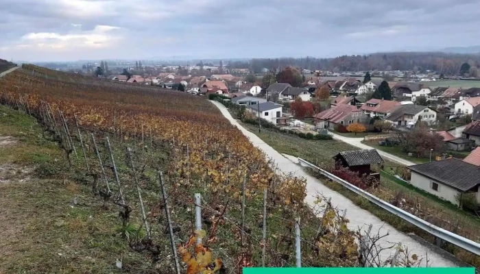 Bas-Vully - Mont-Vully