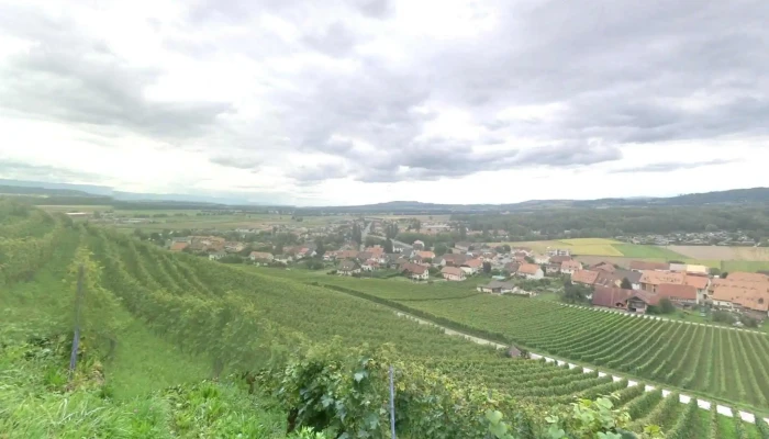 Bas -  Vully Street View 360deg Fotos - Mont-vully