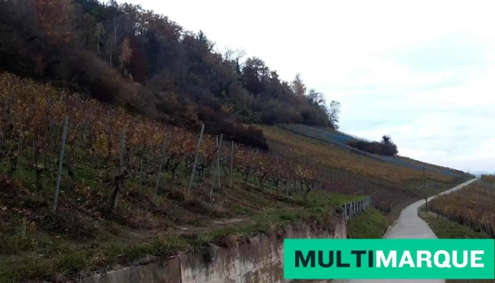 Bas -  Vully Videos - Mont-vully