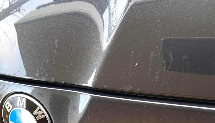 Basch Ag Ts Shop Liegenschaft Tankstelle - Wohlen