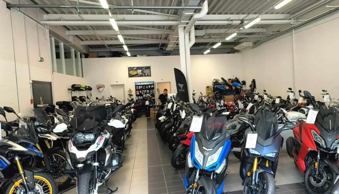Bb Motors -  Telefon - Camorino