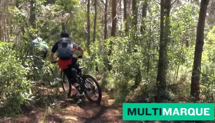 Belimport Sa -  Mountainbike - Lugano