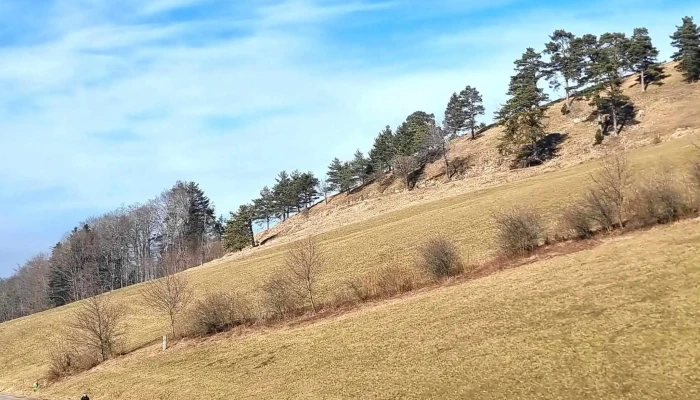 Berggasthaus Hintere Wasserfallen -  Videos - Reigoldswil