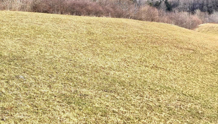 Berggasthaus Hintere Wasserfallen -  Webseite - Reigoldswil