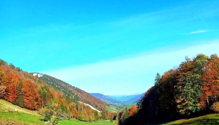 Berghof Montpelon -  Berg - Gänsbrunnen