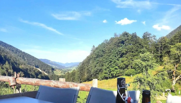 Berghof Montpelon -  Zone - Gänsbrunnen