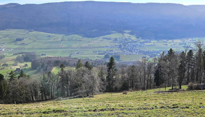 Bergwirtschaft Obere Wengi -  Wo - Matzendorf