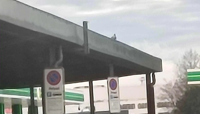 Bp -  In Meiner Nahe - Pratteln