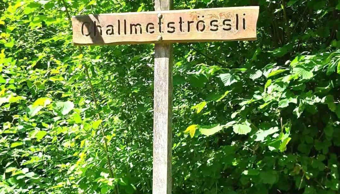 Brislach -  Videos - Brislach