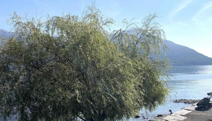 Brissago -  Fahrterminal - Brissago