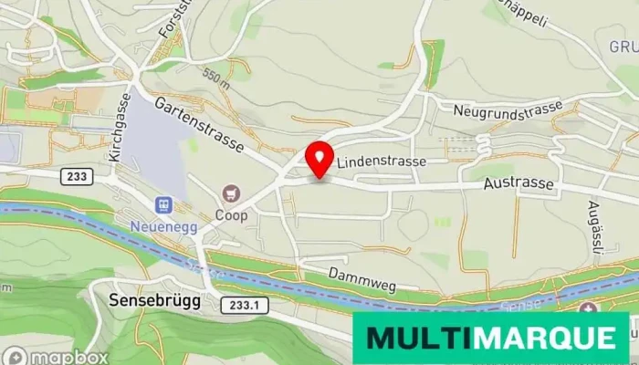 Buhler R Ag Karte - Neuenegg