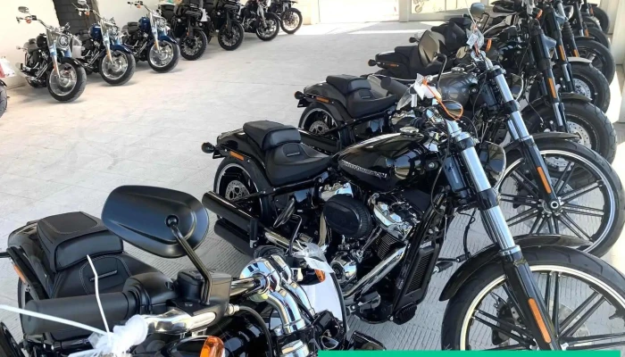 Butikofer Harley Davidson Zurich   Moto84 Alle - Rümlang
