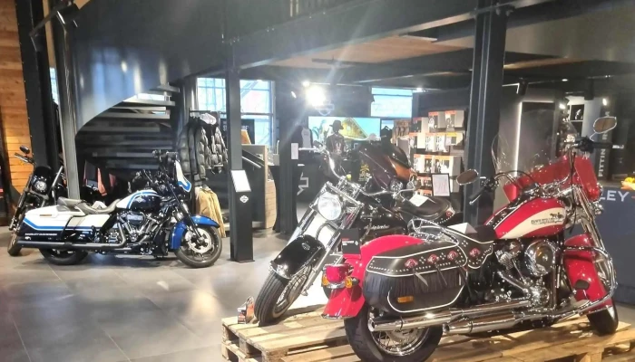 Butikofer Harley Davidson Zurich   Moto84 Nummer - Rümlang