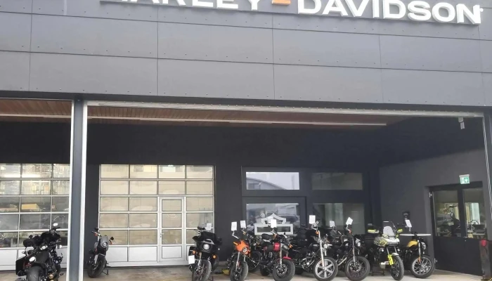 Butikofer Harley Davidson Zurich   Moto84 Rumlang - Rümlang