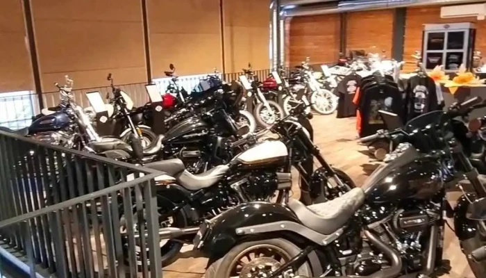 Butikofer Harley Davidson Zurich   Moto84 Videos - Rümlang